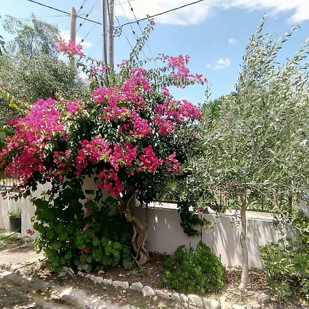 Esmeralda Zante House Apartment Argassi