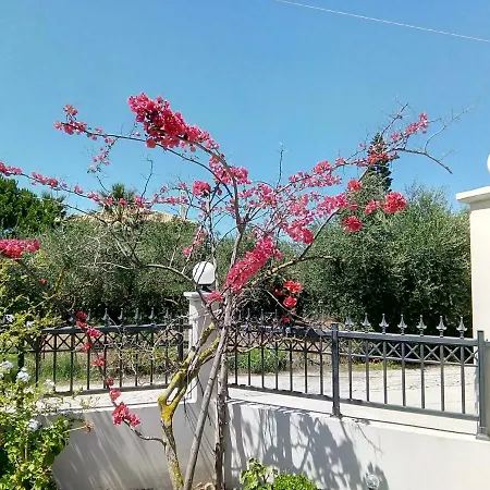Esmeralda Zante House Apartment Argassi