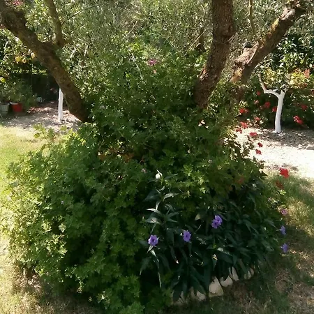 Appartement Esmeralda Zante House *